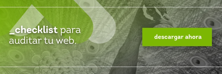 Checklist auditar web