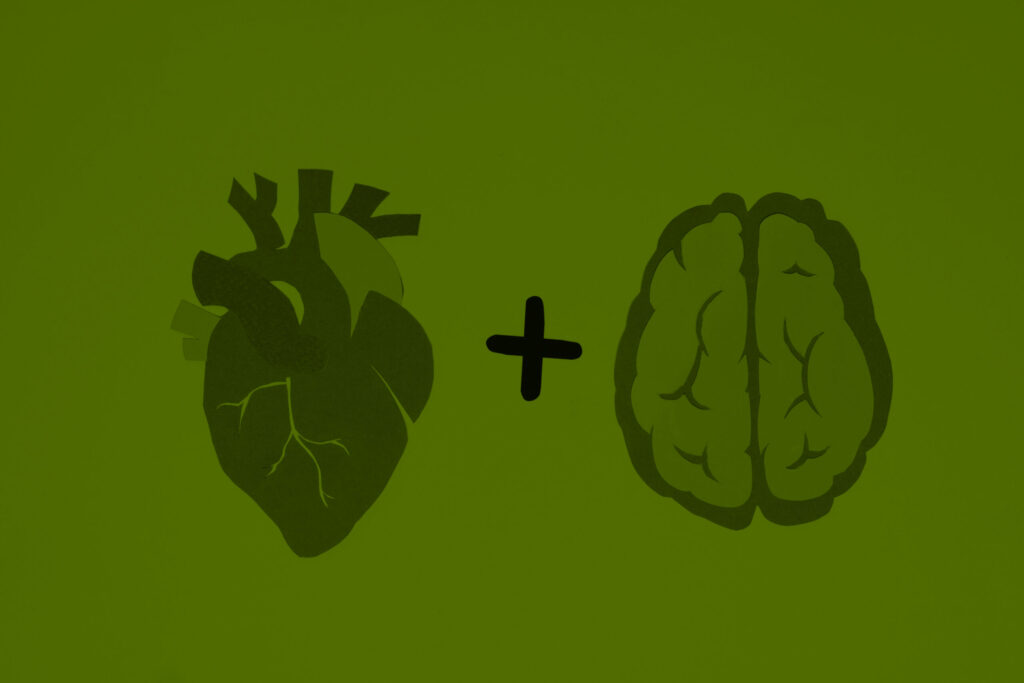 ¿Seres racionales o emocionales? Los dos sistemas del cerebro humano