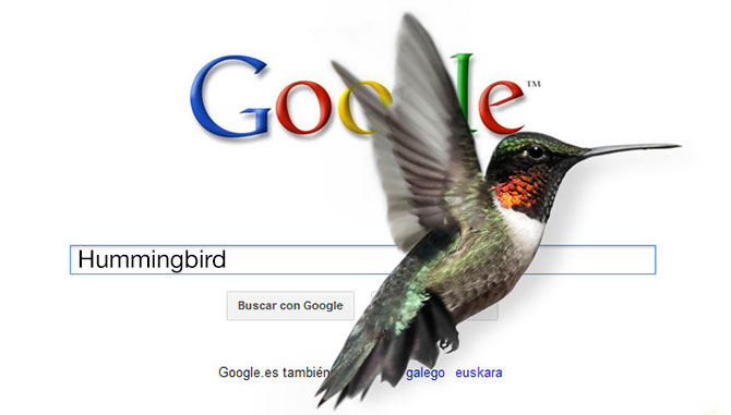 google-hummingbird