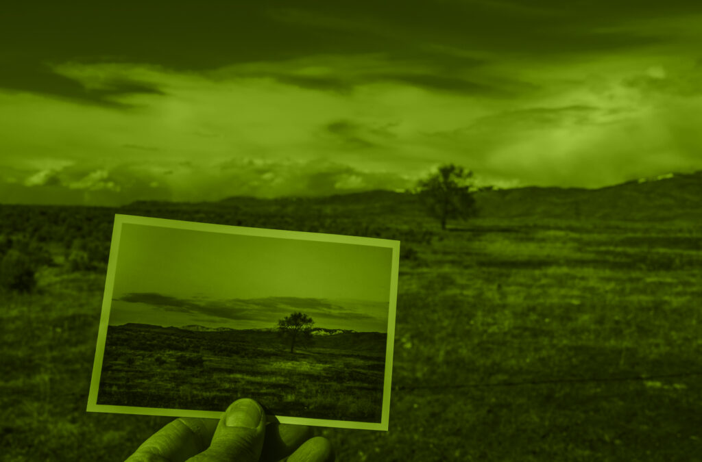 Disponibilidad y memoria: decidir recordando