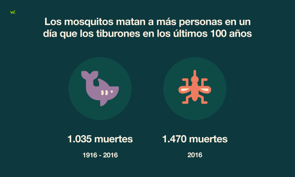 El sesgo de disponibilidad es una estrategia eficaz, pero en ocasiones puede llevar a errores de juicio.