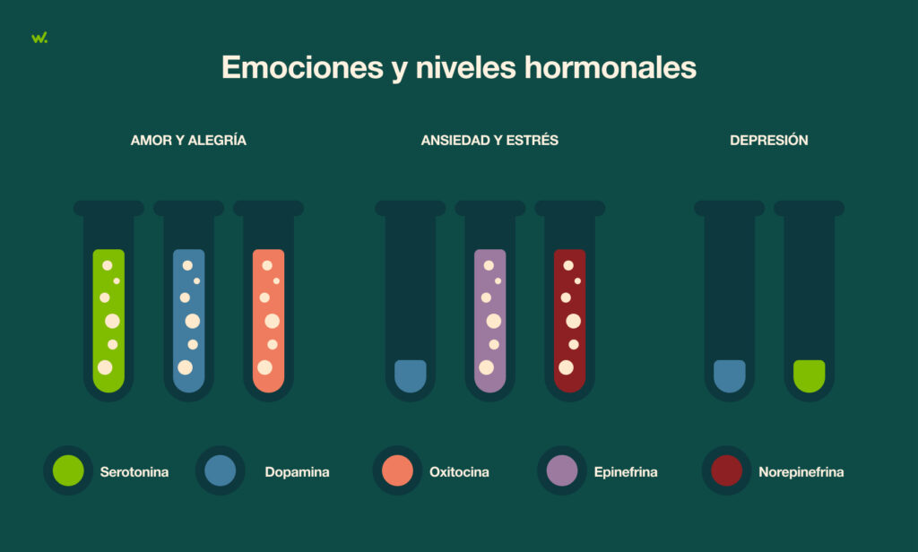 Las hormonas y las emociones tienen un papel fundamental en el estado de ánimo y la toma de decisiones.