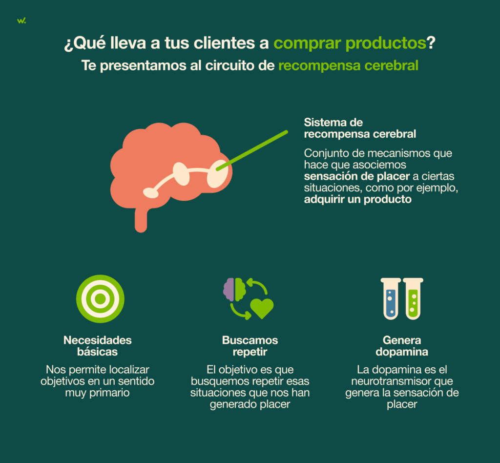 como funciona el proceso de compra