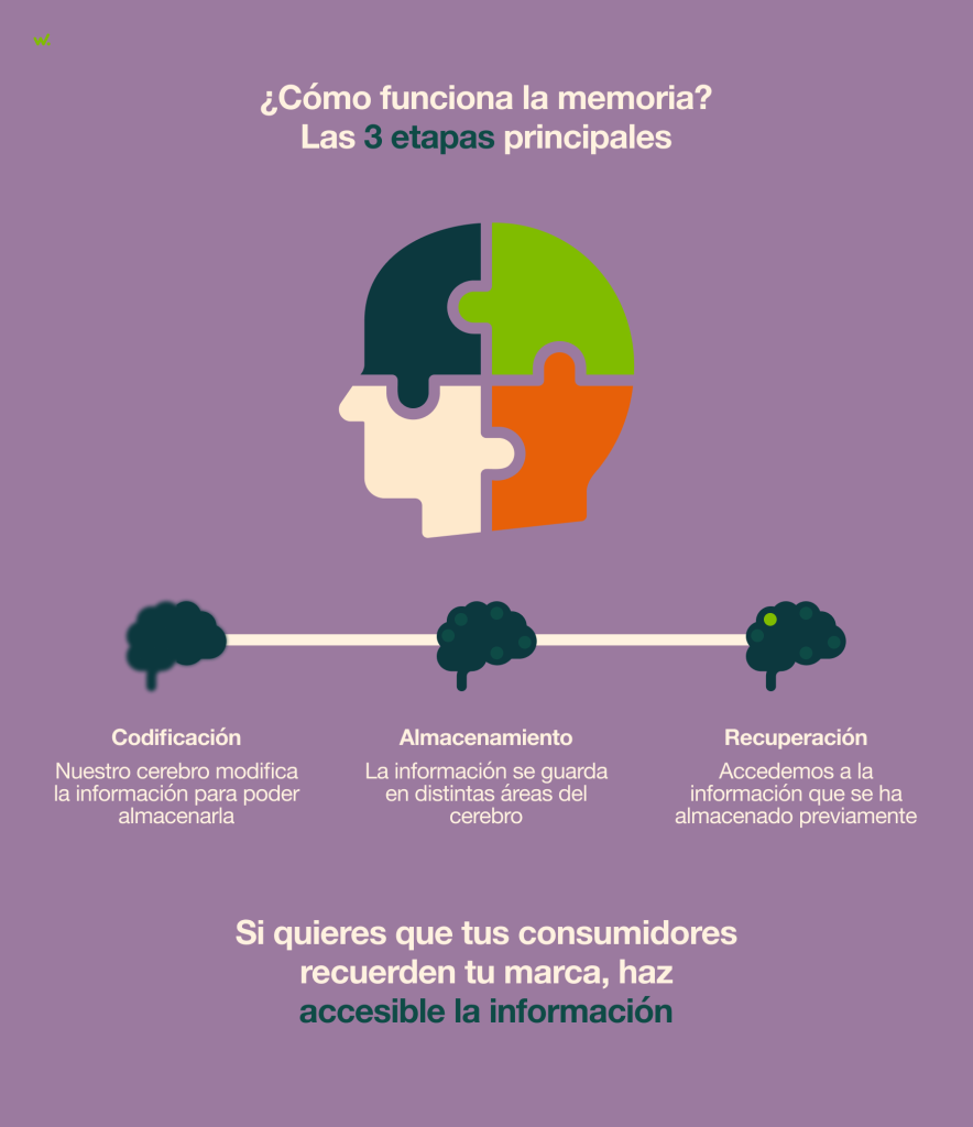 Las tres etapas de la memoria.