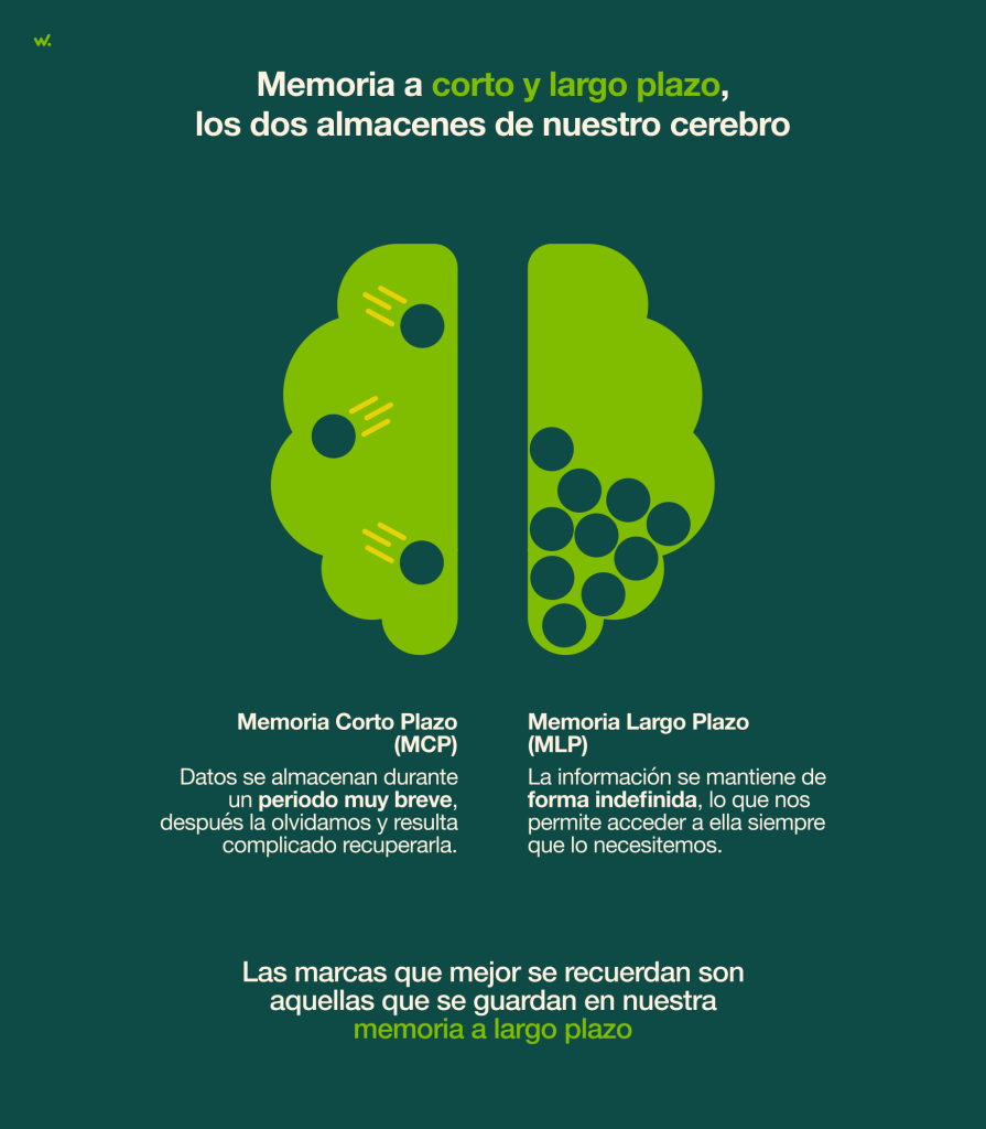 Los dos tipos de memoria: memoria a corto plazo (MCP) y memoria a corto plazo (MLP).