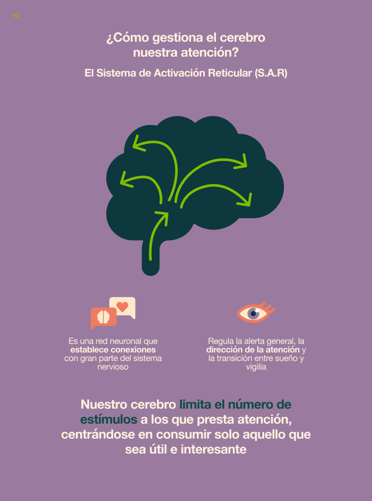 Nuestro cerebro limita el número de estímulos a los que presta atención para consumir solo aquello que sea útil.