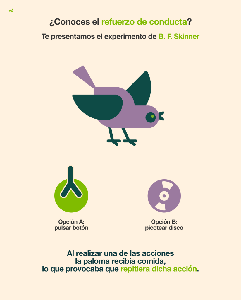 El experimento de Skinner utilizaba la comida para reforzar la conducta de palomas.