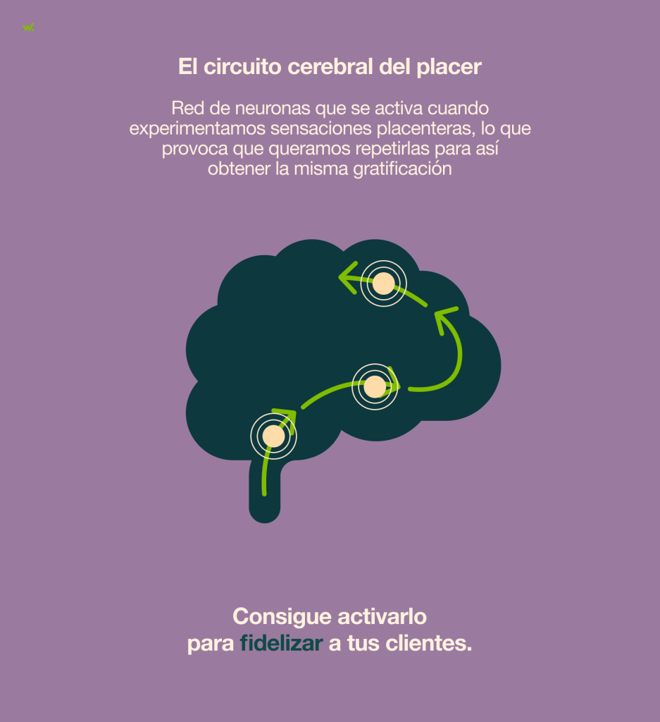 El circuito cerebral del placer se activa cuando experimentamos sensaciones placenteras.