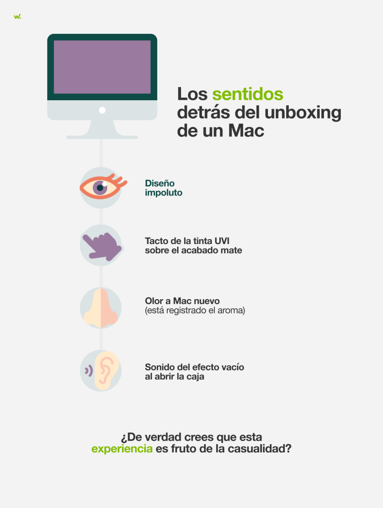 La importancia de los sentidos en el circuito cerebral del placer.