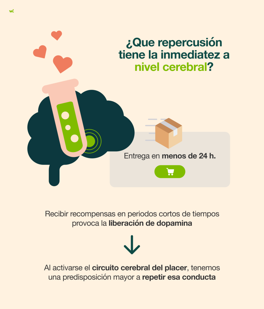 La inmediatez tiene gran repercusión a nivel cerebral en las persona.